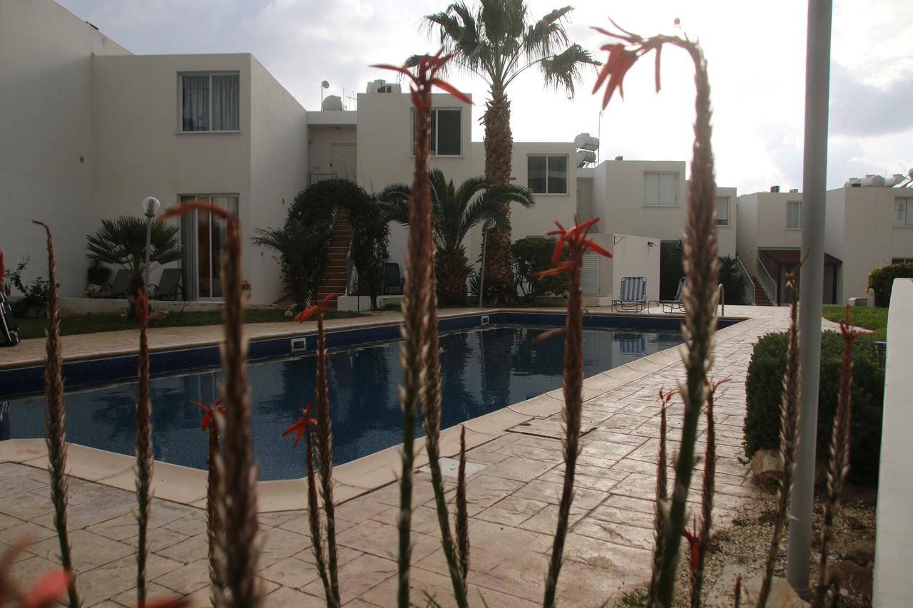 Evros Peyia & Coral Bay Seaview Apartment Экстерьер фото
